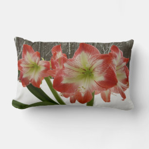 Cojín Lumbar Amaryllis en floral de invierno en la nieve roja f