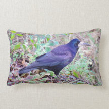 Amortiguador del grajo