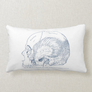 Cojín Lumbar Anatomía humana del vintage que dibuja el azul