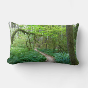 Cojín Lumbar Anciano sendero de Groves en el Parque Nacional Ol