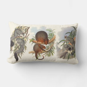 Cojín Lumbar Animales De Australia Los Tres Posums Cushions