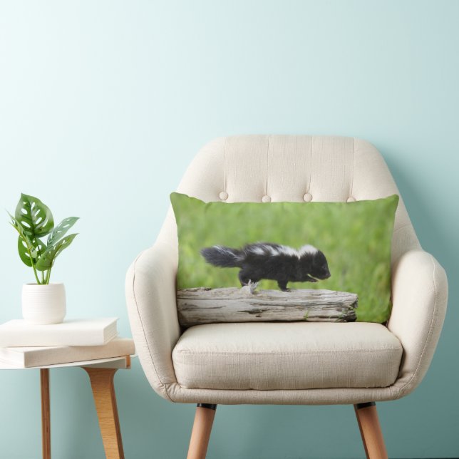 Cojín Lumbar Animales de bebé más afectados | Baby Skunk (Silla)