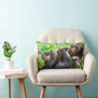 Animales de bebé más afectados | Dos jóvenes chimp