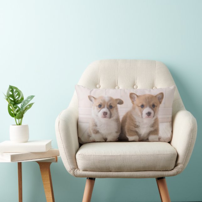 Cojín Lumbar Animales de bebé más afectados | Dos sesiones de B (Silla)