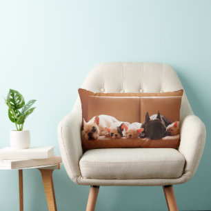 Cojín Lumbar Animales de bebé más afectados   Familia francesa 