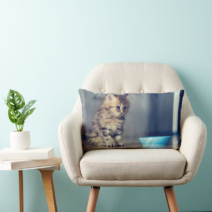 Cojín Lumbar Animales de bebé más afectados   Gatito persa de o