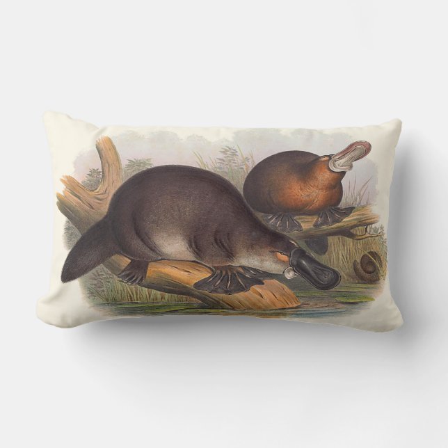 Cojín Lumbar Animales de los amortiguadores de Australia (Anverso)