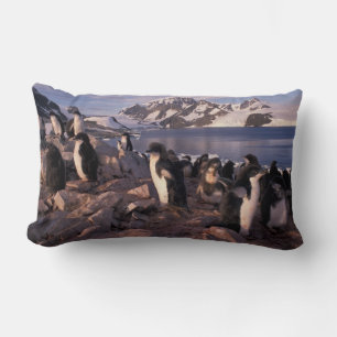 Cojín Lumbar Antártida, crías de pingüino Adelie