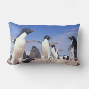 Cojín Lumbar Antártida, Pingüino Adelie Pygoscelis