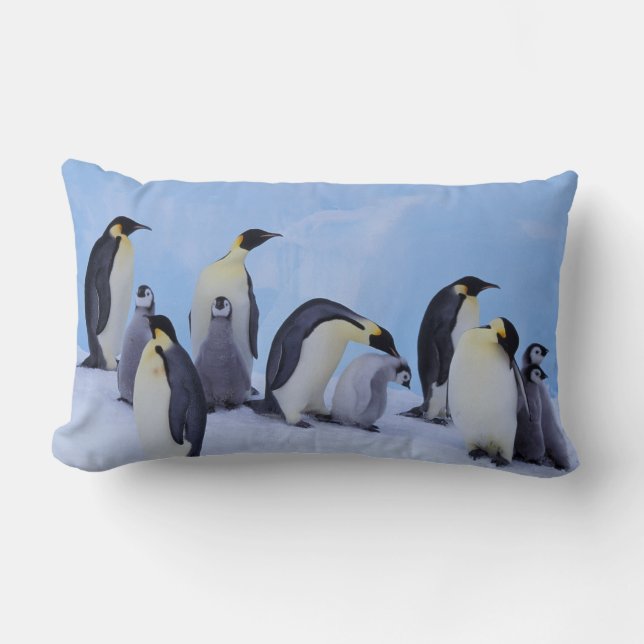 Cojín Lumbar Antártida, Pingüinos Emperadores (Anverso)