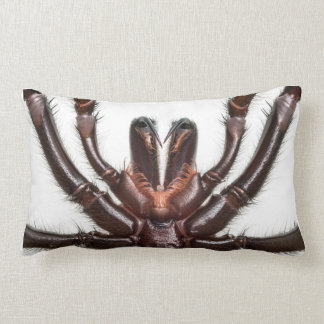 Cojín Lumbar Araña del Embudo-Web de Sydney