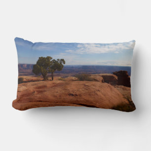 Cojín Lumbar Árbol fuera de las rocas rojas I en Canyonlands