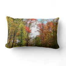 Árboles de otoño y cielo azul Fotografía de la nat