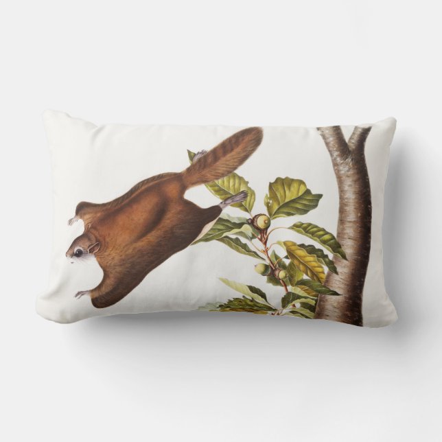 Cojín Lumbar Ardilla voladora de Oregón (Pteromys Origonensis) (Anverso)