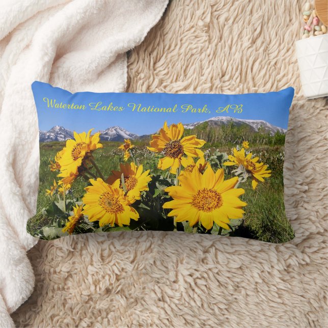 Cojín Lumbar Arrowleaf Balsamroot Wildflower Lumbar Pillow (Manta)