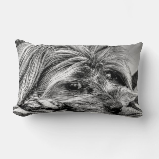 Cojín Lumbar Arte blanco y negro lindo de Yorkshire Terrier (Anverso)
