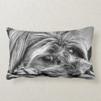 Cojín Lumbar Arte blanco y negro lindo de Yorkshire Terrier