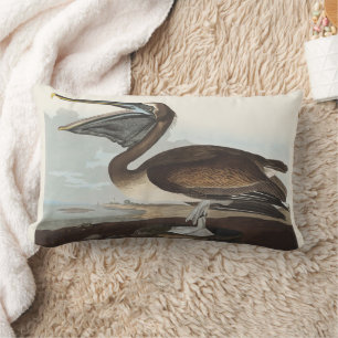Cojín Lumbar Arte de aves costeras vintage de Audubon Pelícano 