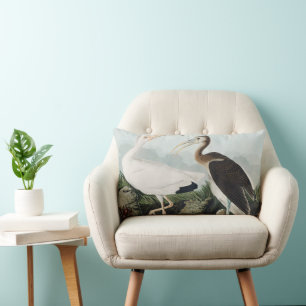 Cojín Lumbar Arte de la naturaleza del Ibis Blanco de Audubon v