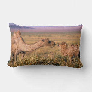 Cojín Lumbar Asia, Mongolia, desierto de Gobi, Gran Gobi