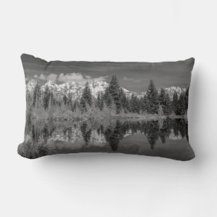 Cojín Lumbar Aterrizaje de Schwabacher