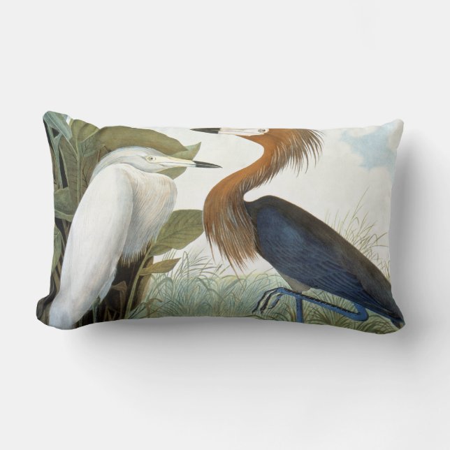 Cojín Lumbar Audubon: Egret rojizo o garza púrpura (Anverso)