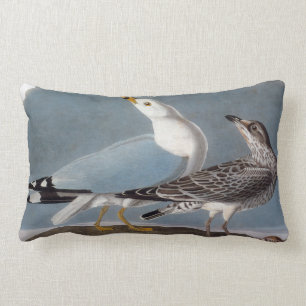 Cojín Lumbar Audubon: Gaviota Anillo-Cargada en cuenta