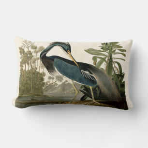 Cojín Lumbar Audubon Louisiana Garza Aves América Arte