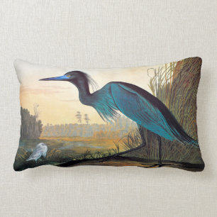 Cojín Lumbar Audubon: Pequeña Perla Azul
