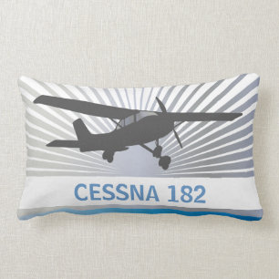 Cojín Lumbar Aviones de ala alta