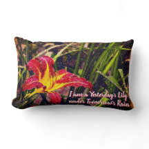 Ayer Lily en Mañana Lluvia