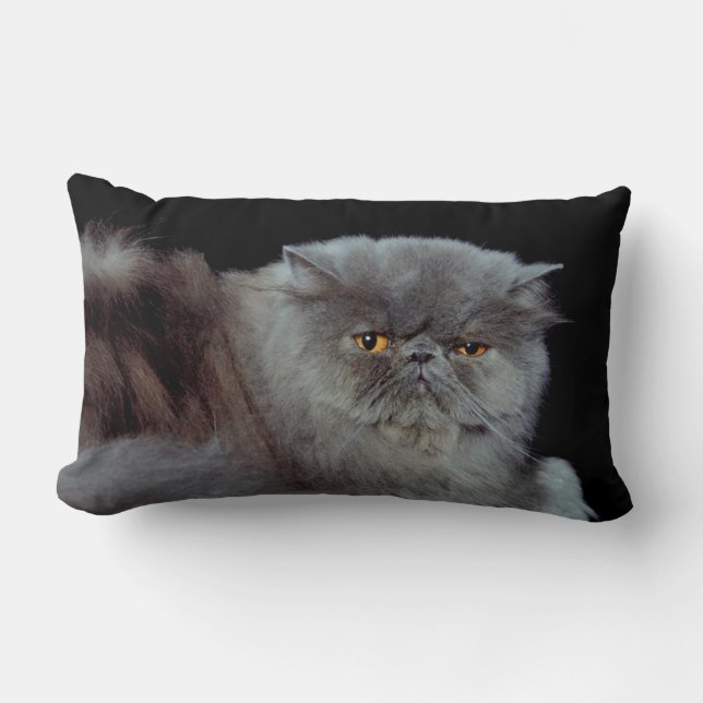 Cojín Lumbar Azul persa (Anverso)