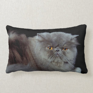 Cojín Lumbar Azul persa