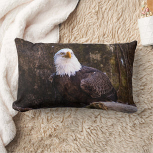 Cojín Lumbar Bald Eagle