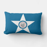 Bandera de Houston, Texas Lumbar Pillow