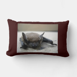 Cojín Lumbar Bate marrón pequeño (Myotis lucifugus)