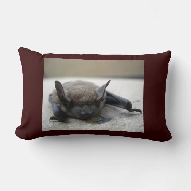 Cojín Lumbar Bate marrón pequeño (Myotis lucifugus) (Anverso)