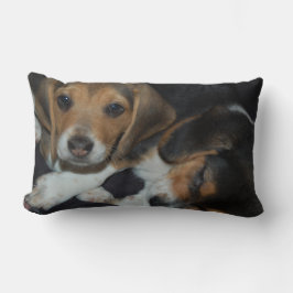 Cojín Lumbar Beagle Puppies Pillow