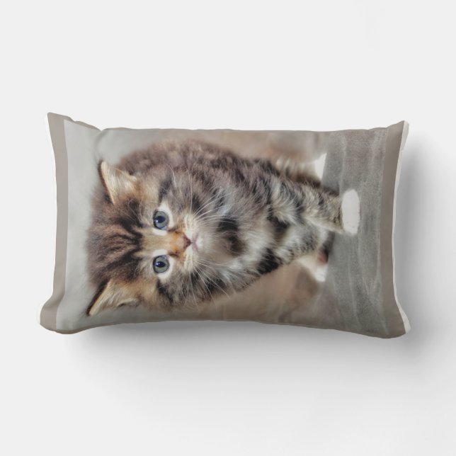 Cojín Lumbar Bebé gatito dulce (Anverso)