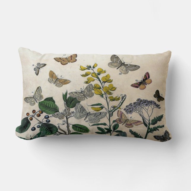 Cojín Lumbar Beige rústico de las mariposas florales botánicas (Anverso)