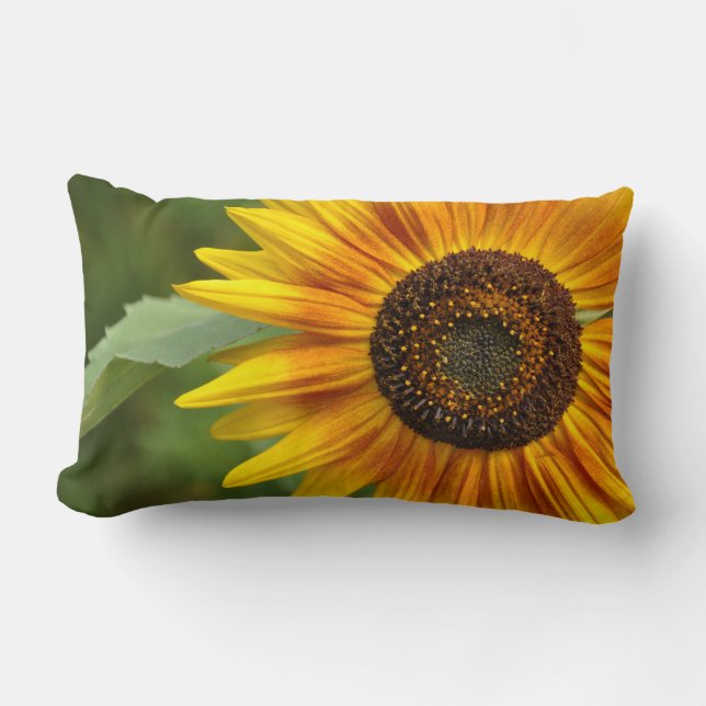 Cojín Lumbar Belleza del girasol (Anverso)