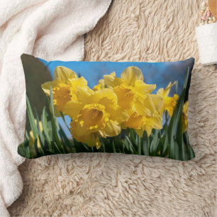 Cojín Lumbar Bellos Daffodis Amarillos