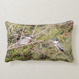 Cojín Lumbar Belted Kingfisher