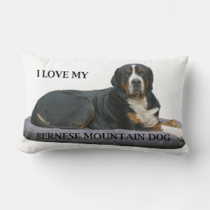 Cojín Lumbar bernese mountain dog óxido completo tendido amor w