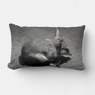 Cojín Lumbar Bilby Australiano, Conocido Como El Conejo De Pasc