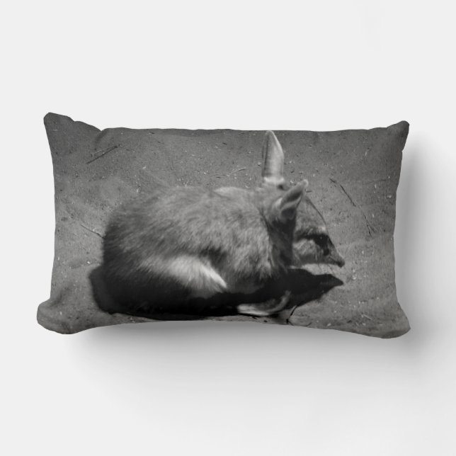 Cojín Lumbar Bilby Australiano, Conocido Como El Conejo De Pasc (Anverso)