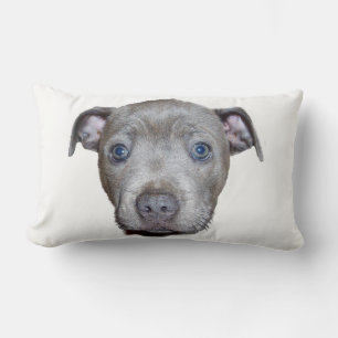 Cojín Lumbar Blue Staffordshire Bull Terrier Puppy Face, Blanco