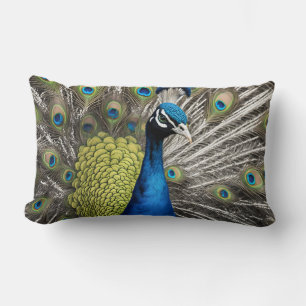 Cojín Lumbar Bonito Peacock