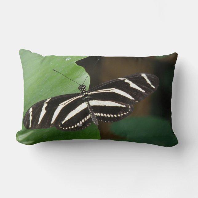 Cojín Lumbar Bonito Zebra Longwing Butfly Pillow (Anverso)