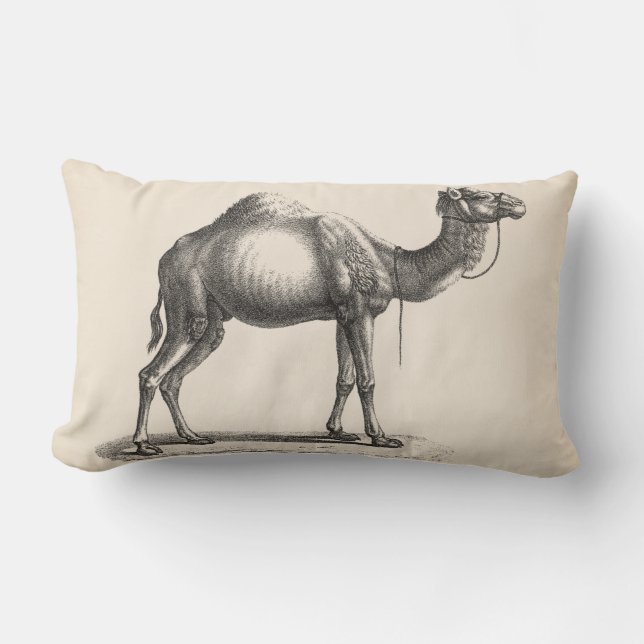 Cojín Lumbar Brodtmann Dromedary Camel Sketch (Anverso)